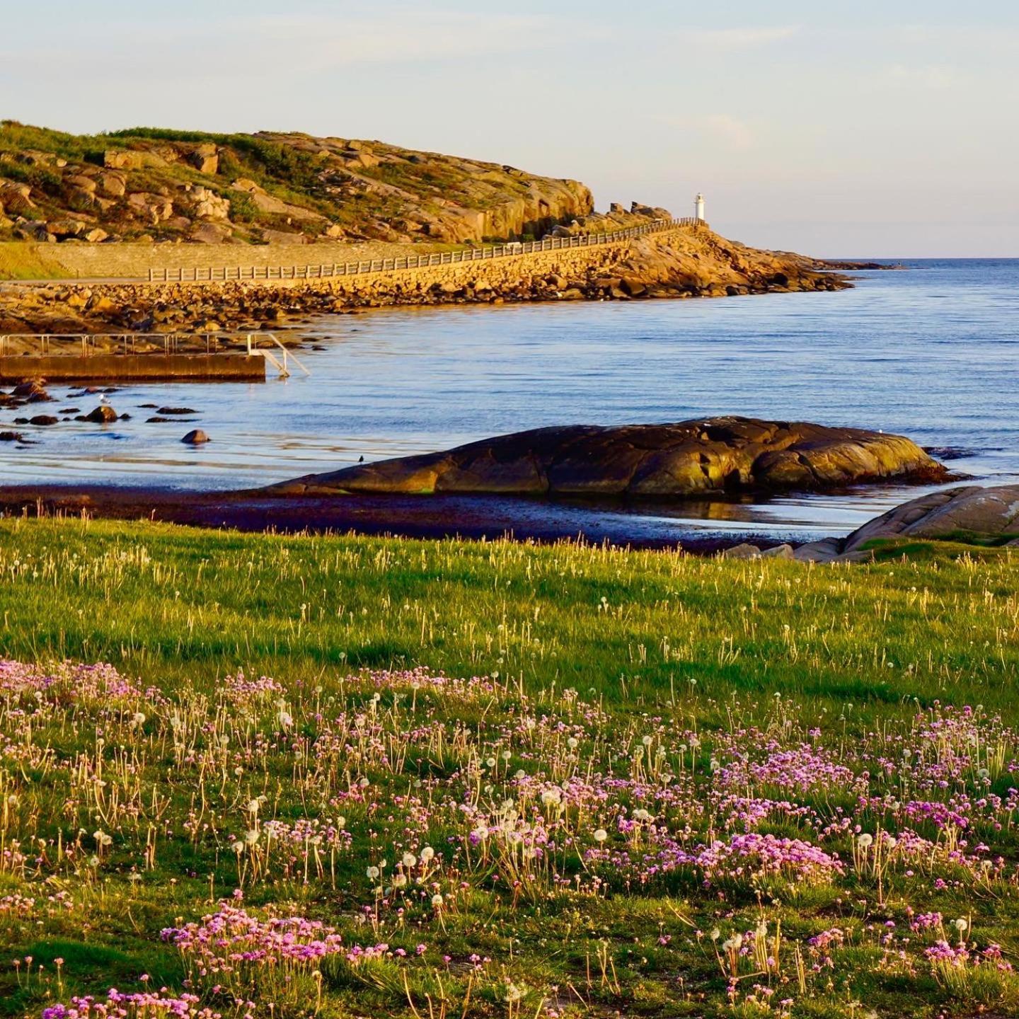 Faestningens Bed & Breakfast Varberg Exterior photo